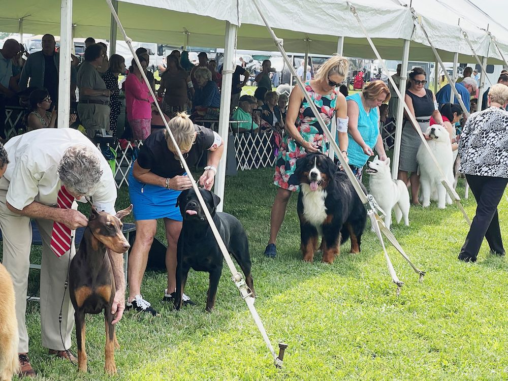 2023 Hunterdon Hills Kennel Club